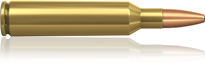 Bild von Norma Kal. 7 mm Blaser Magnum