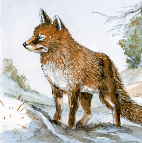 Bild von LG Wildscheibe Fuchs (1630-N), 250 Stück