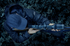 Bild von Pulsar Digex C50, Digitale Nachtsichtzielfernrohre , Bild 8